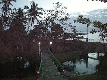 The  Bridge at Twilight