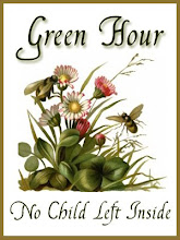 <a href="http://www.homeschoolblogger.com/HarmonyArtMom/480223"/>Green Hour Challenge</a>