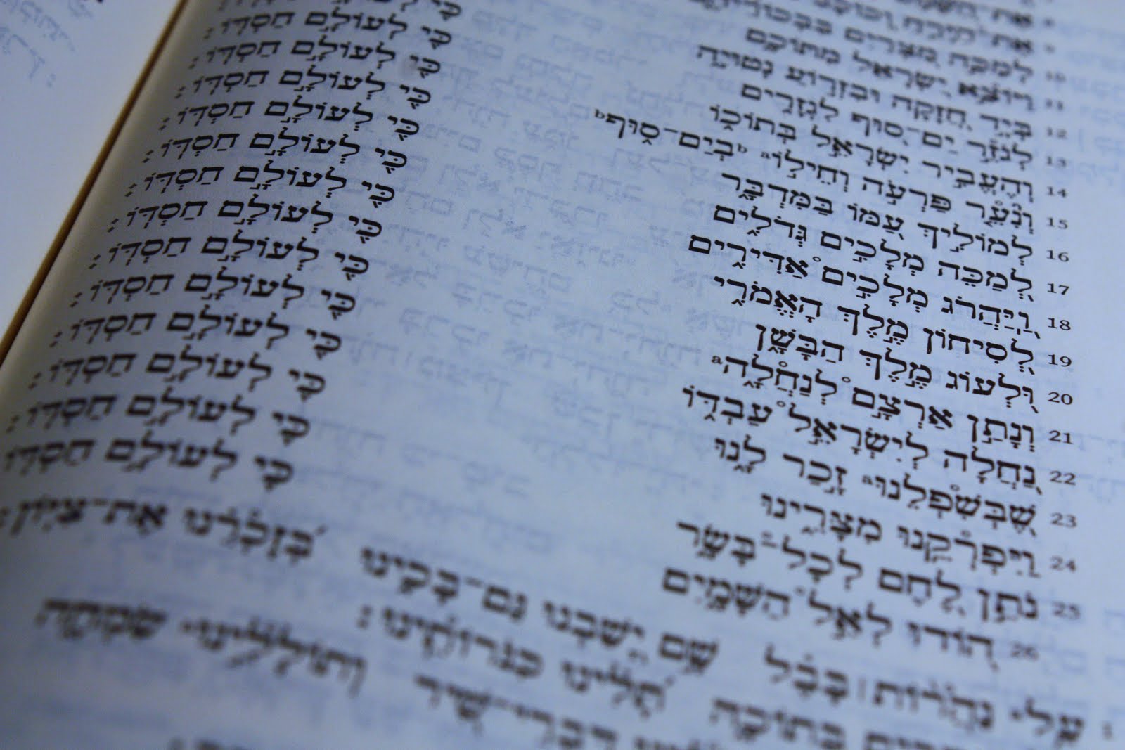 The Zealous Water Buffalo: A Mini Rant Set off by an Ancient Jewish ...