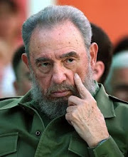 Fidel Castro y los homosexuales