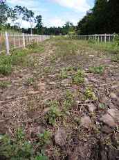 Graveyard of the Ho Chi Minh Trail