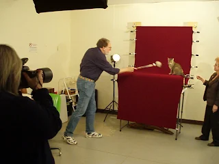 Helmi Flick photographing at a cat show