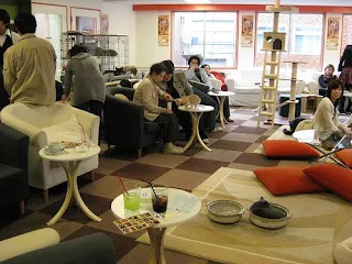 cat cafe Japan