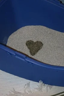 cat litter box with heart shapped urine