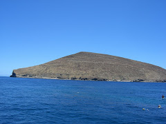Nhua