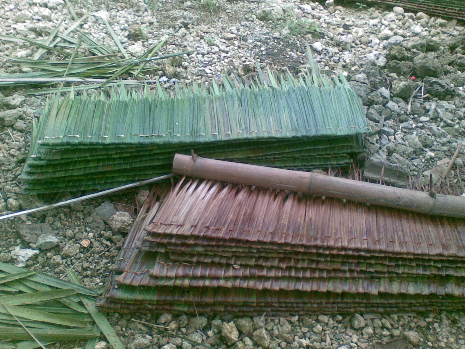 adventures in sustainability GROW YOUR OWN ROOF How to make nipa roofing