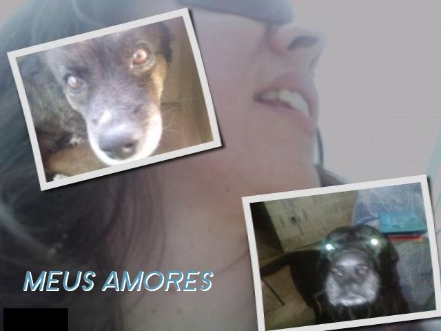 *.¸¸.**TE AMO E TE AMAREI PRA SEMPRE!!*.¸¸.***.¸¸.*