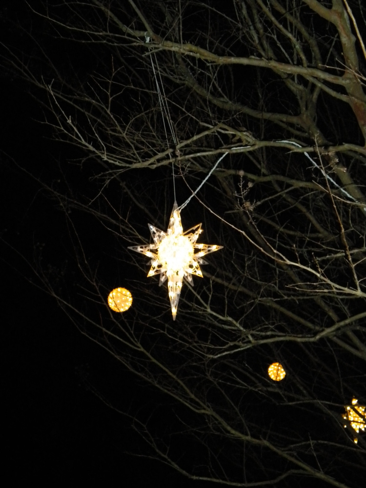 Sherri's Jubilee: Daniel Stowe Botanical Garden with Christmas Lights!