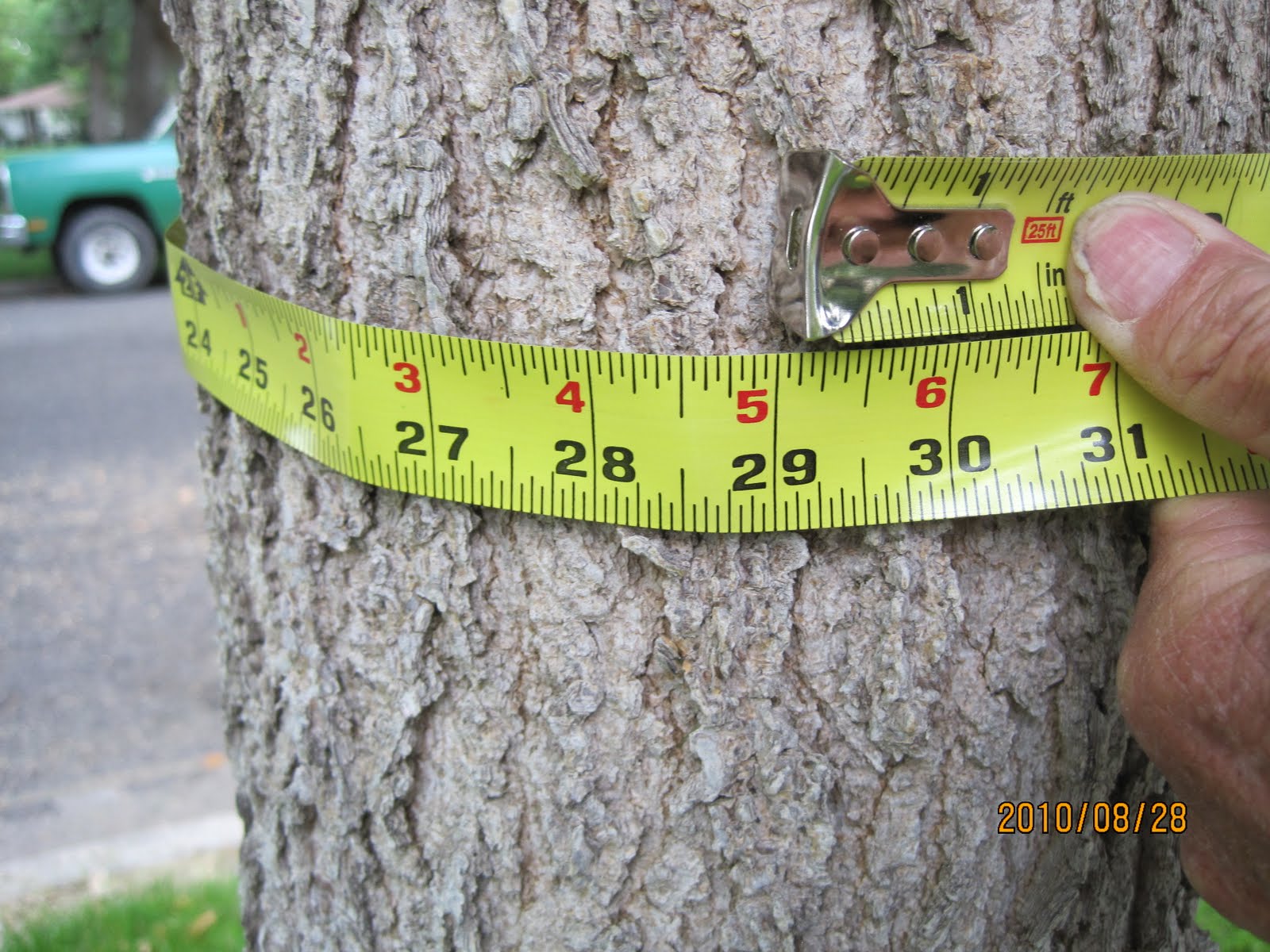 Swift's Gardening Blog Swift Horticultural Enterprises, LLC