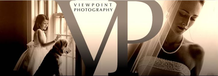 Viewpoint Photography