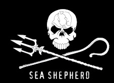 sea shepherd