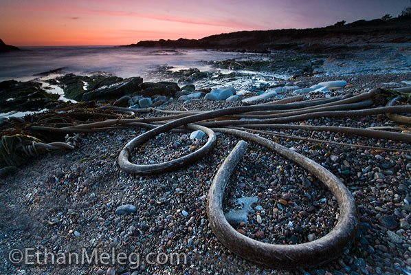 [PointLobos_EMELEG_9582.jpg]