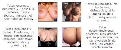 Las Conferencias del Doctor Ron - Las Tipologías Mamarias