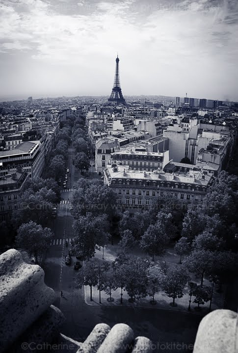 [090909_MG_0536.jpg]