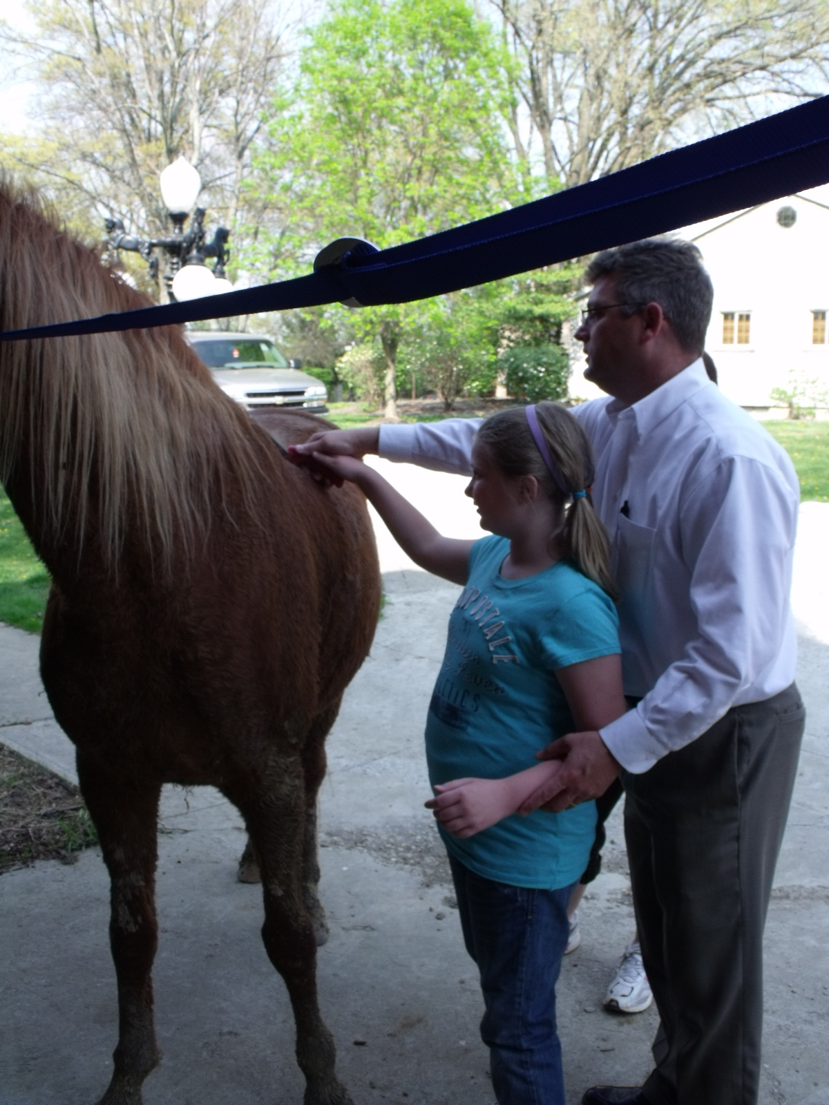 Pink Daisys Blog Horse Back Riding