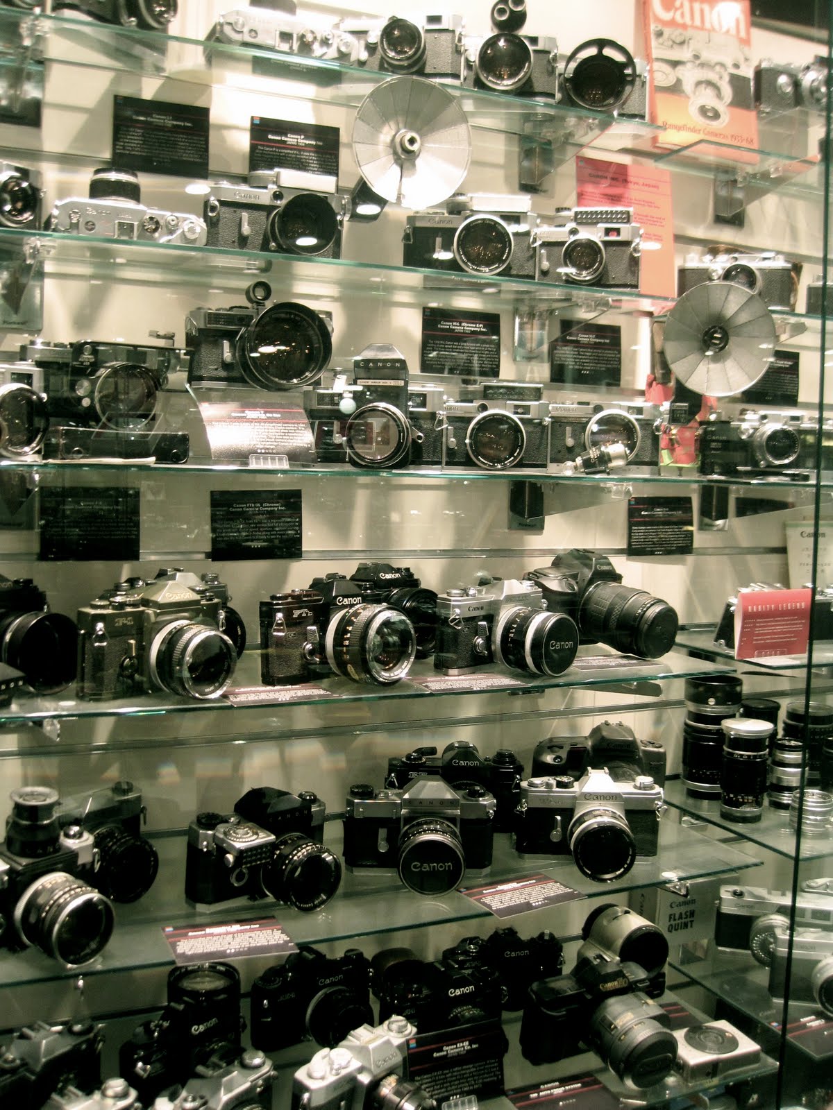 extra sunday camera museum