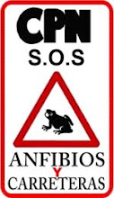 S.O.S anfibios