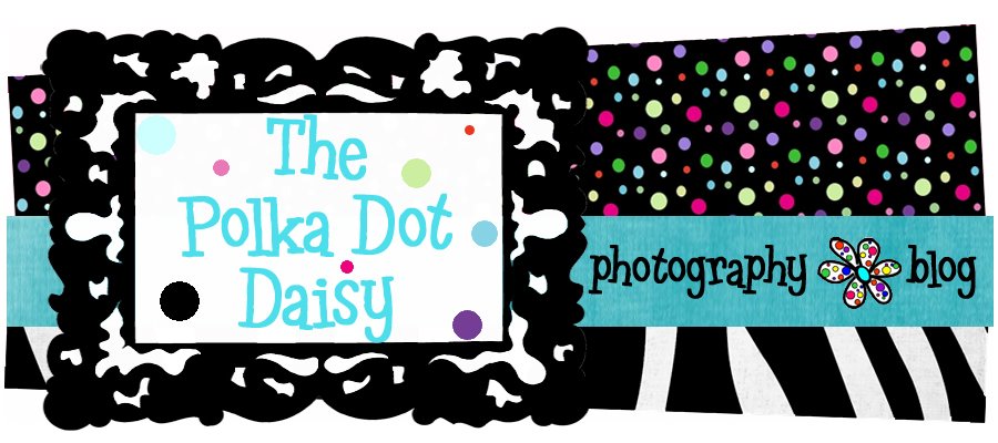 the polka dot daisy