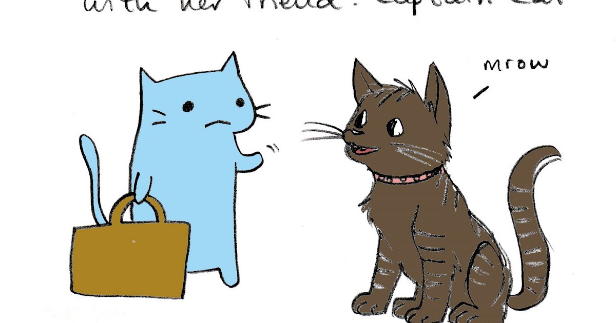 Flimsy the Kitten: Captain Cat