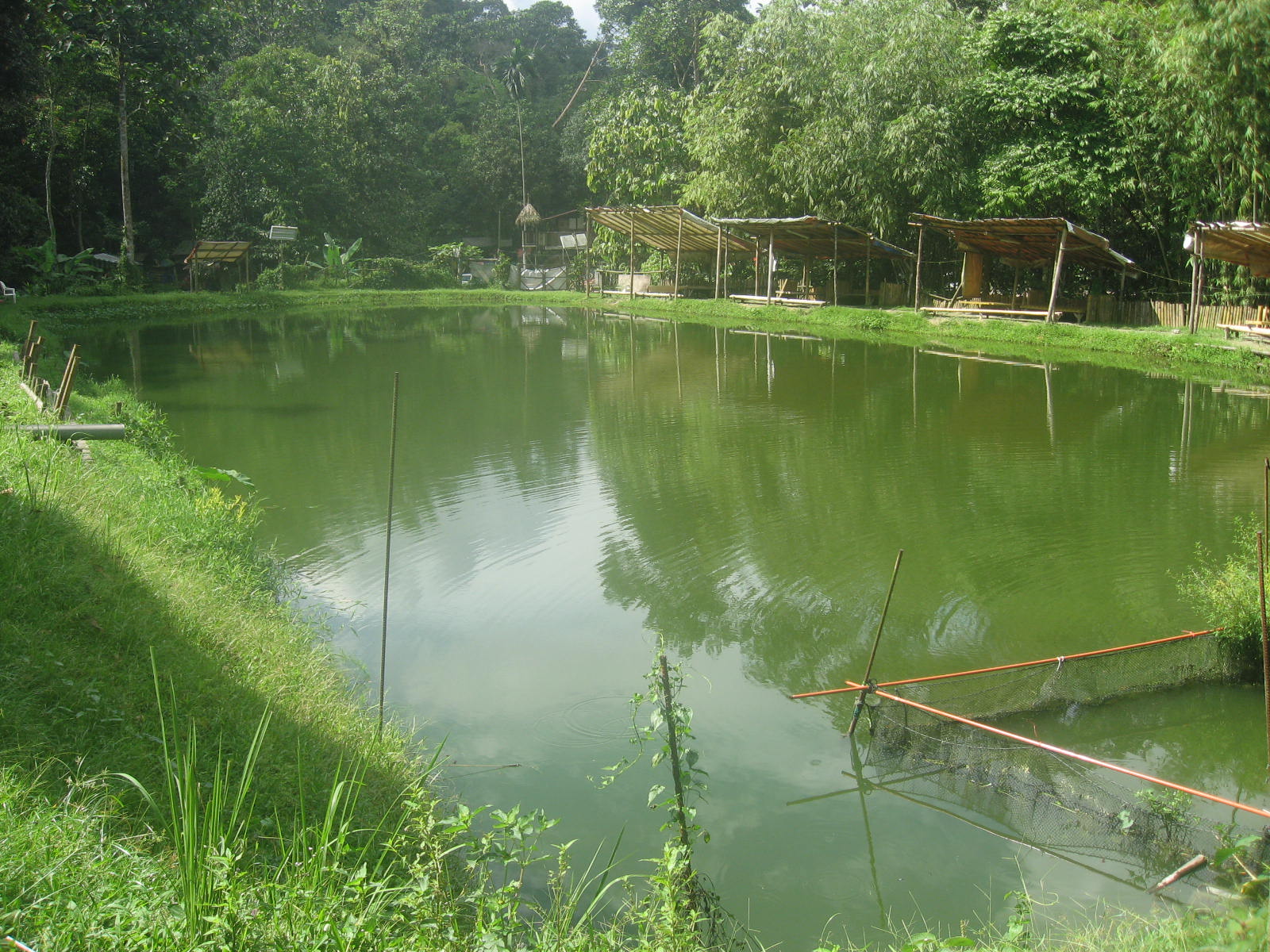 kOlaM PaNciNg JoRaN TeRjUn bLkG Zoo NeGaRa kOlaM PaNciNg JoRaN TeRjUn bLkG Zoo NeGaRa