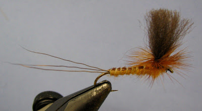 Central Alberta Fly Tying Club: January 2010