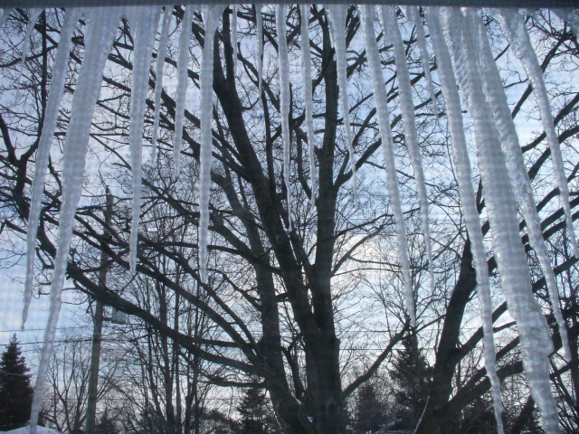 [icicles.jpg]