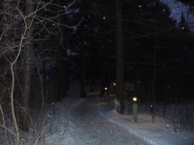 [Retreat+6+path.jpg]