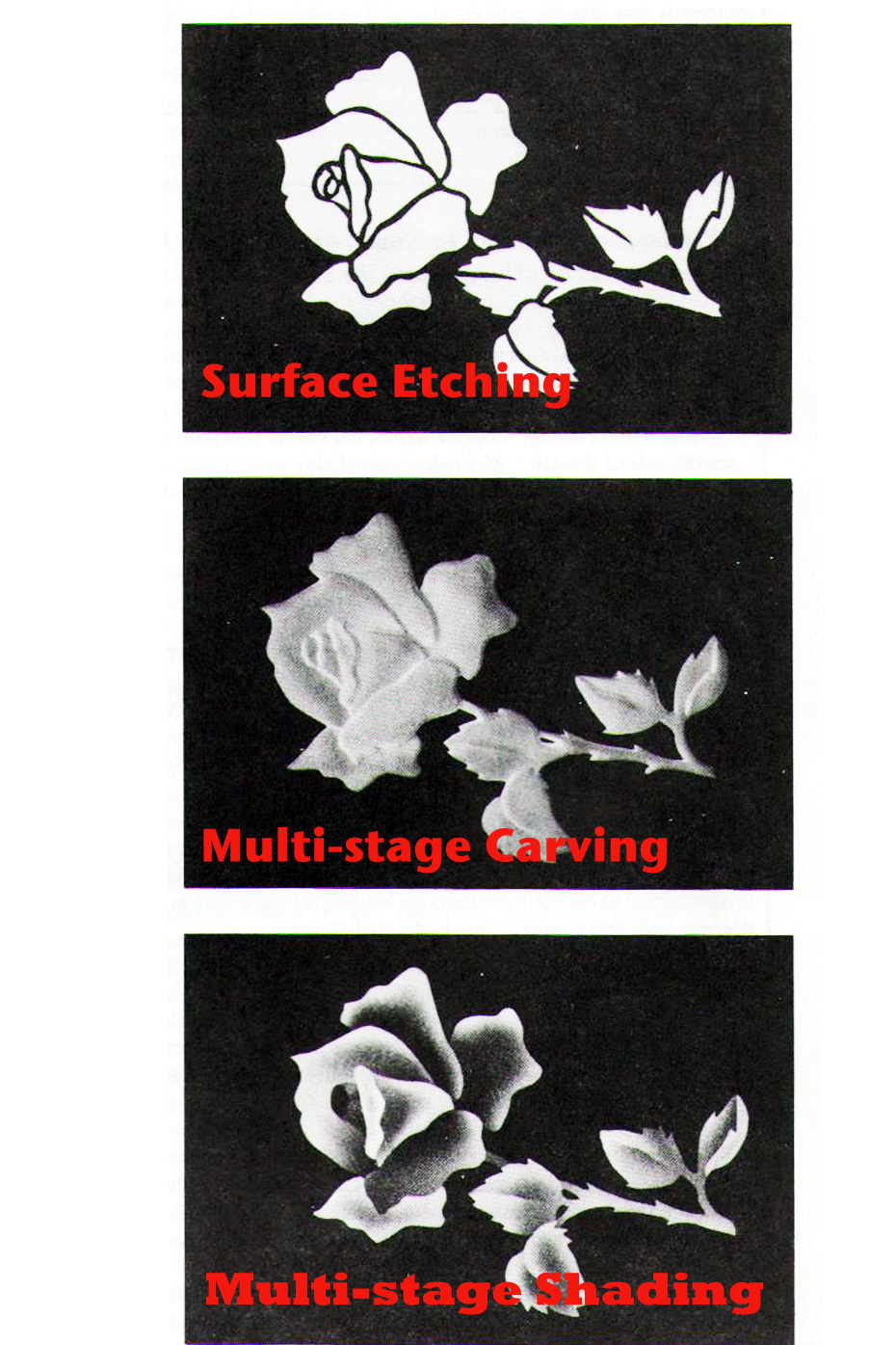 Fine Art Glass Etching by Jasper Assid What different glass etching