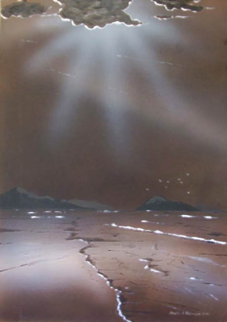 beach rays