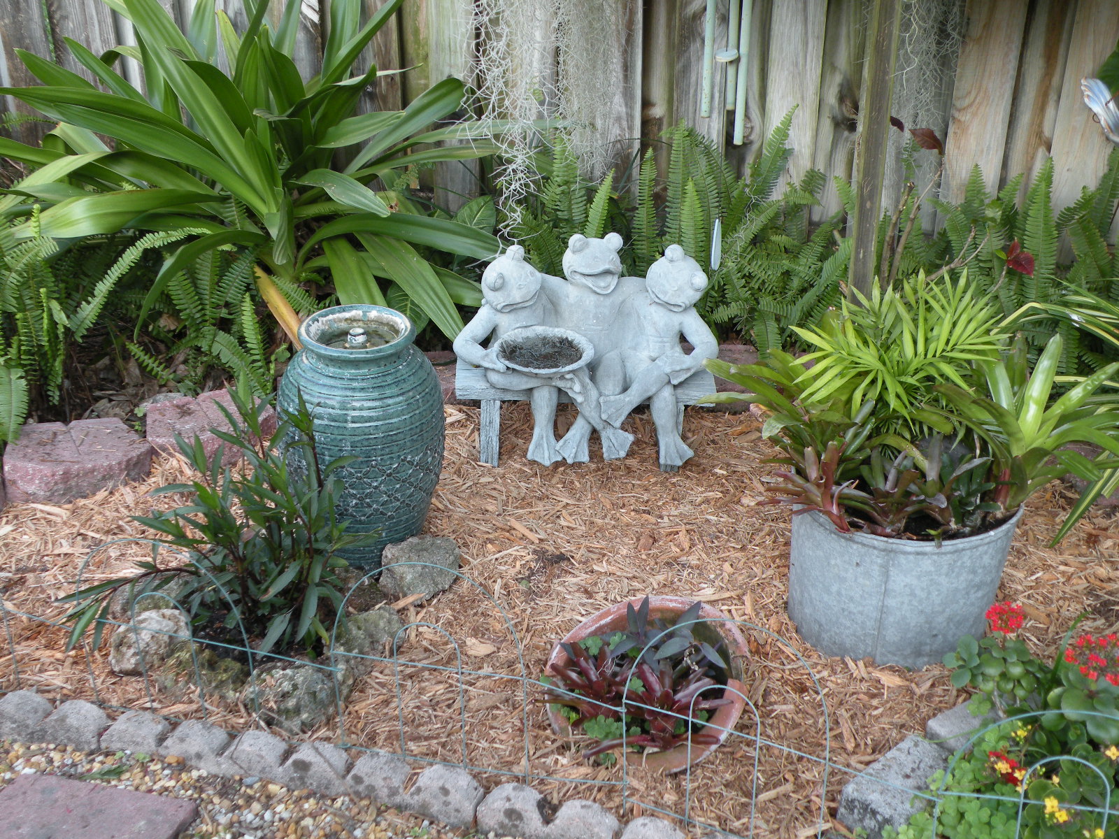 DragonFly Garden I am back in the garden.