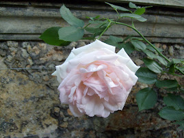 La Vie en Rose