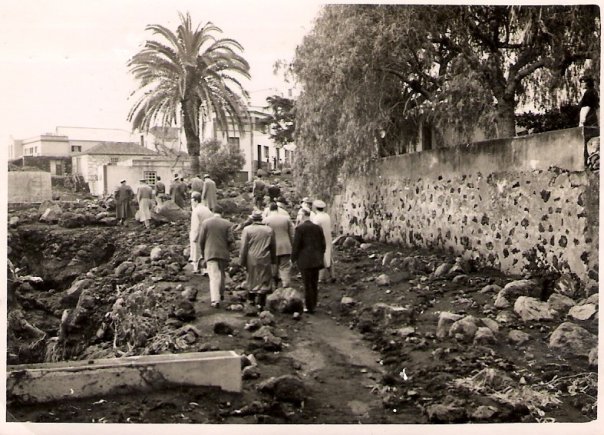 HISTORIA DE 4º E.S.O. EL LLANITO