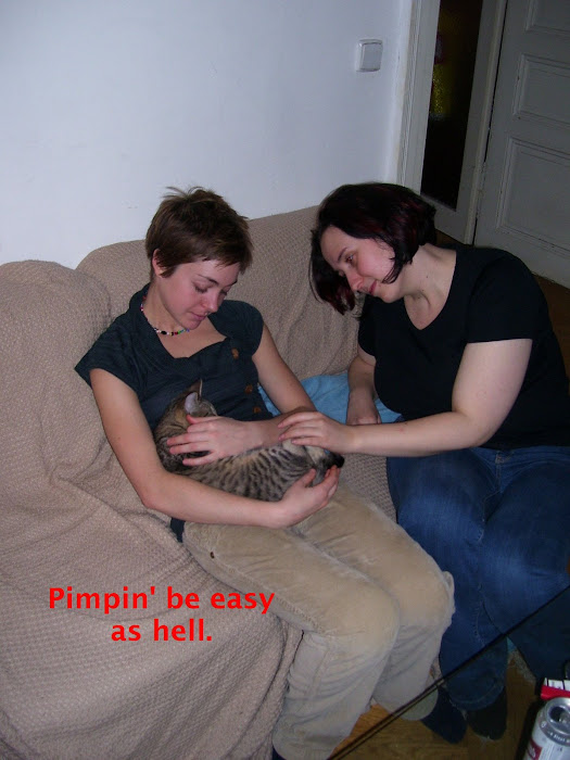 Pimpin' ain't easy?