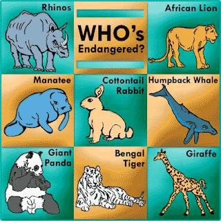 Current Events: Brazil's Endangered List