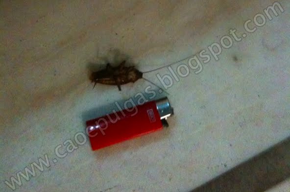 [abaratadizquetem.jpg]