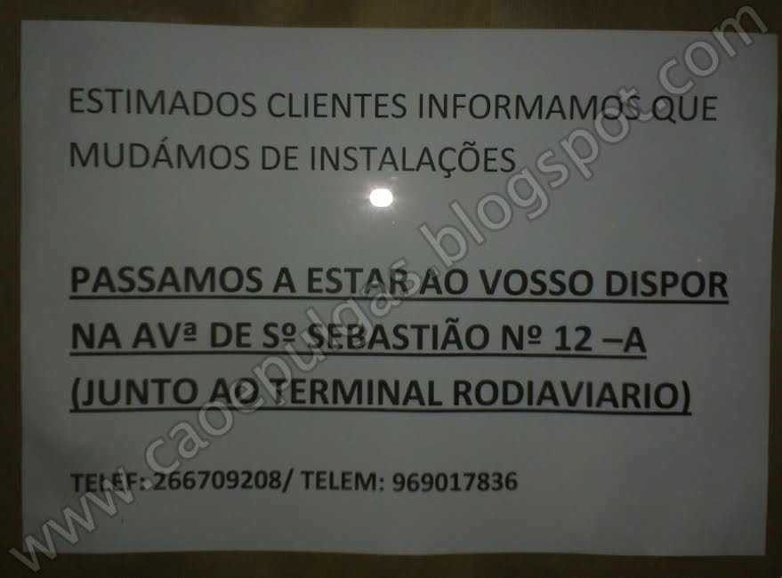 [chickenrodiaviario.jpg]