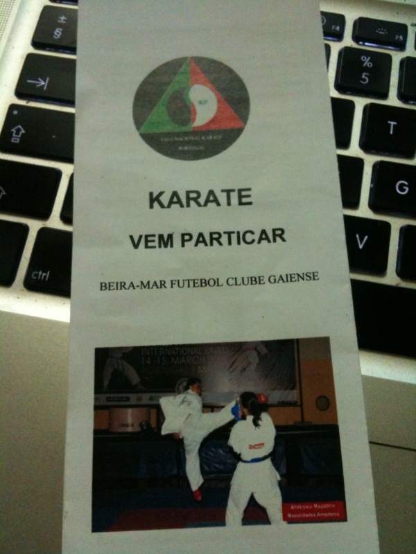 [particarkarate.jpg]