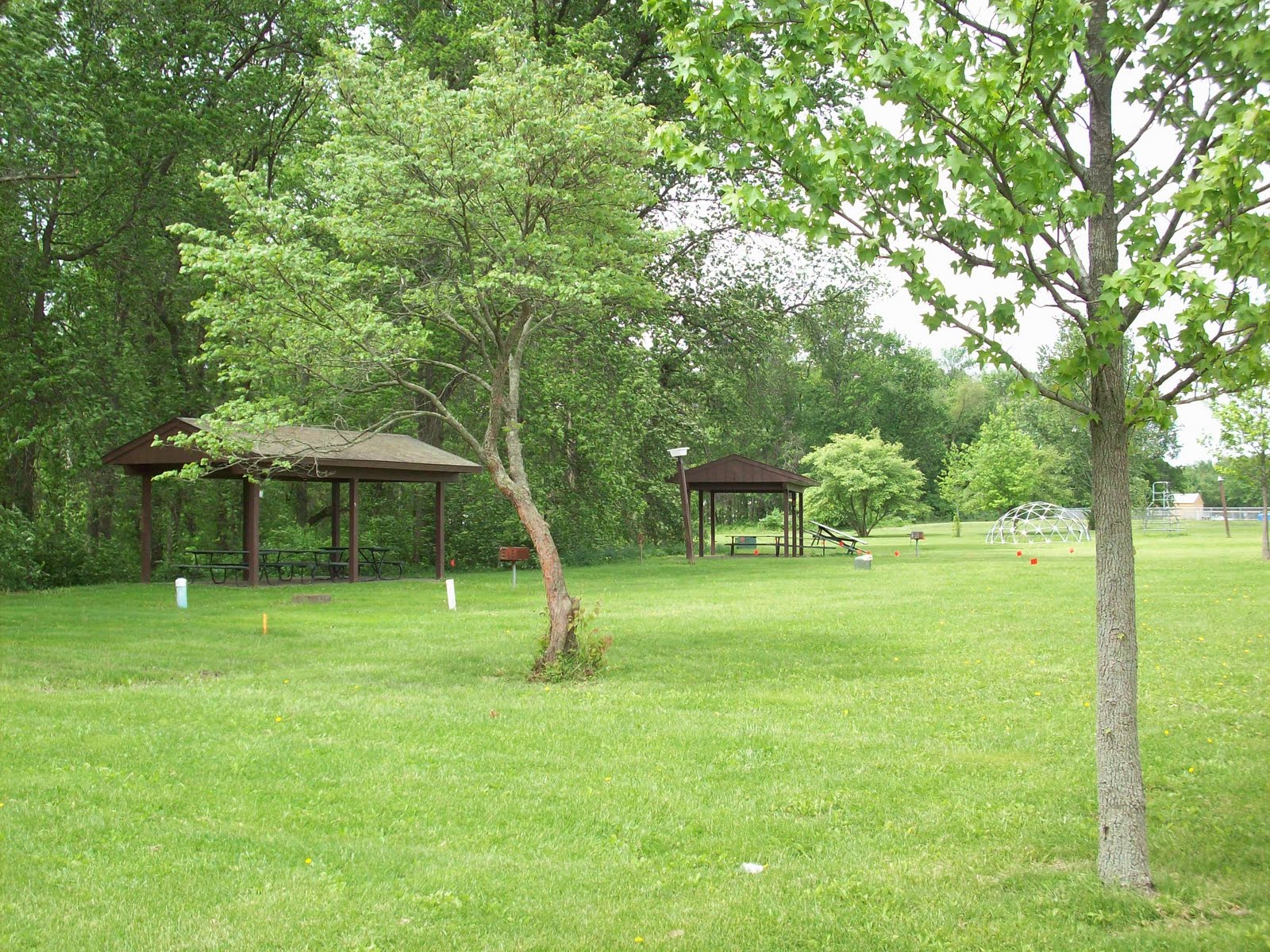 Life in Altamont Gilbert Park