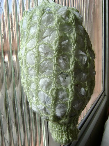 [2259675371_e5cfe2d3fa.jpg]