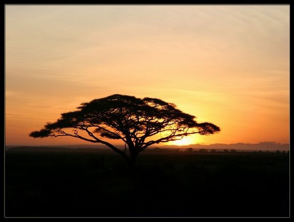 [-African-Sunrise.jpg]