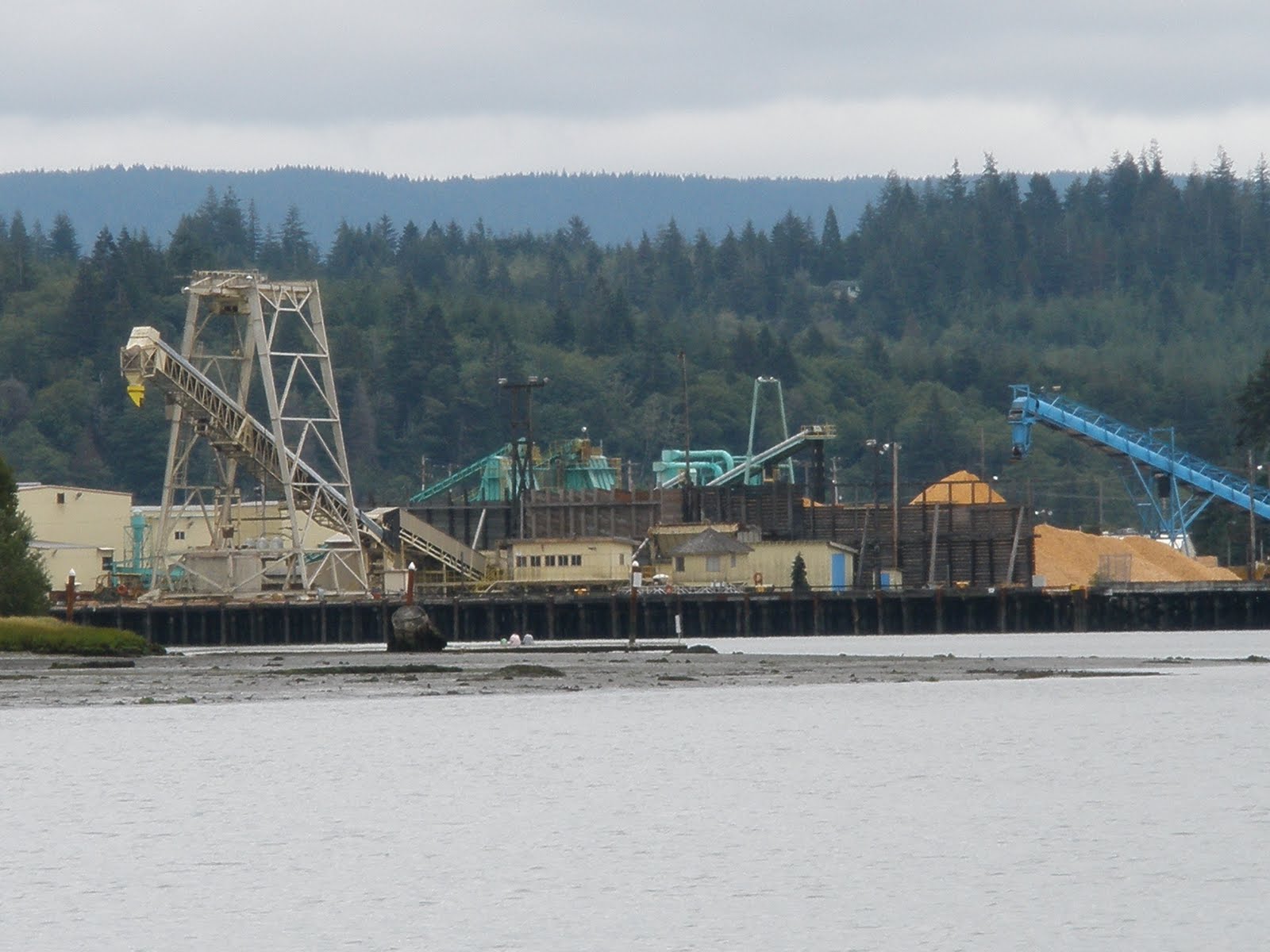 And I Wander Coos Bay