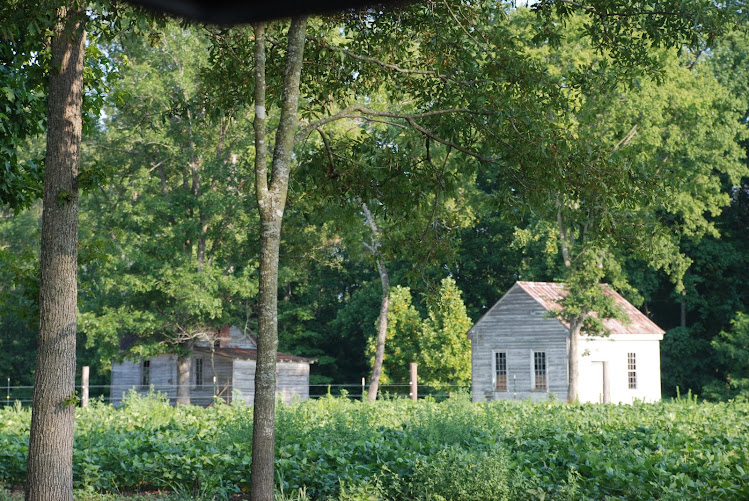 Shell Castle Farm Facebook Photos from Friends of "Shell Castle," Enfield, North Carolina