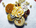 Hair Clips/Brooches