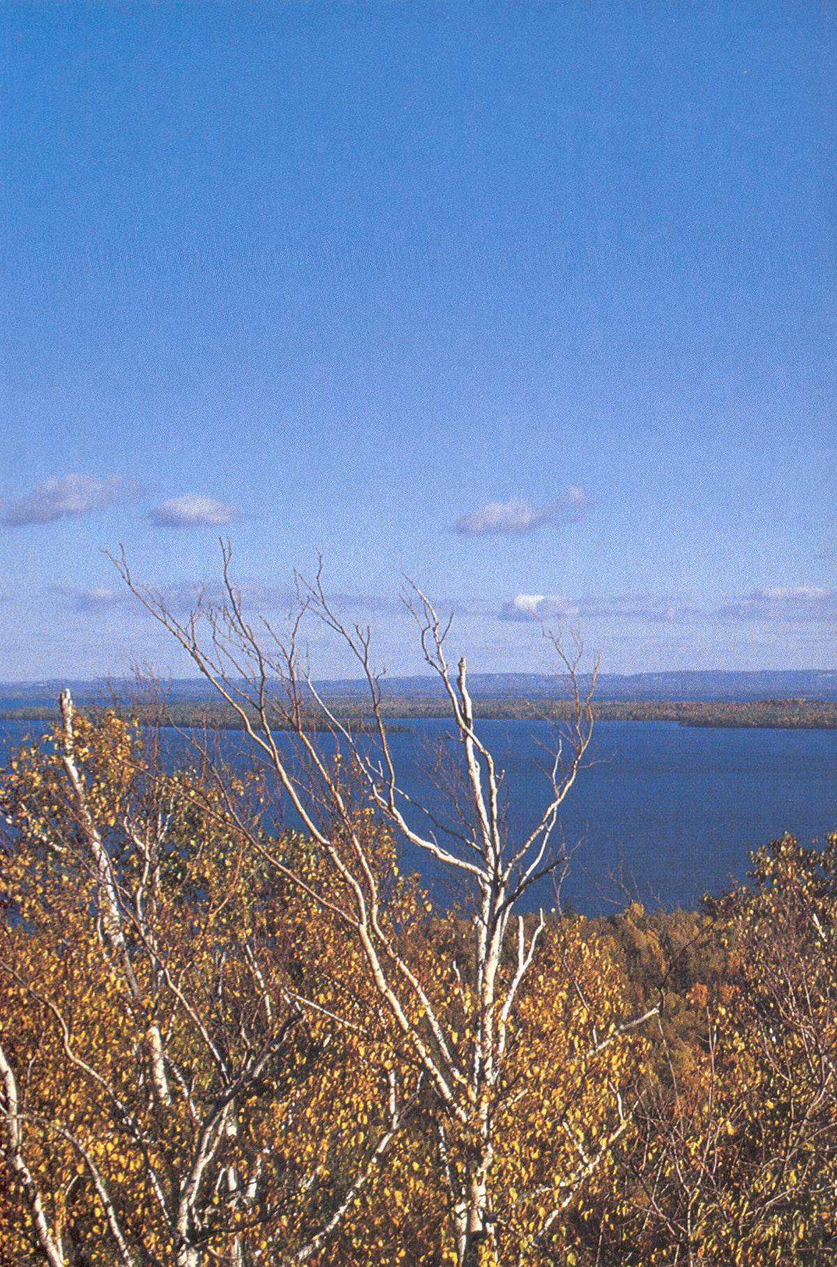 Read online Cerebus comic -  Issue #241 - 28