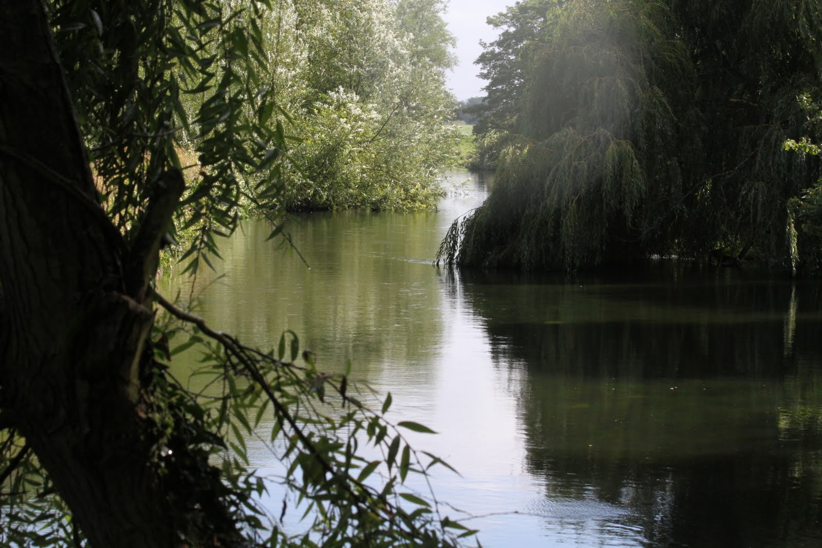 beyond my gate Staffordshire Wildlife Trust, Wolseley Bridge