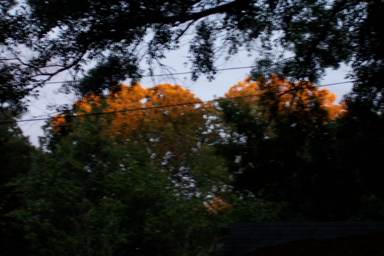 [Sunset+in+the+oaks.jpg]