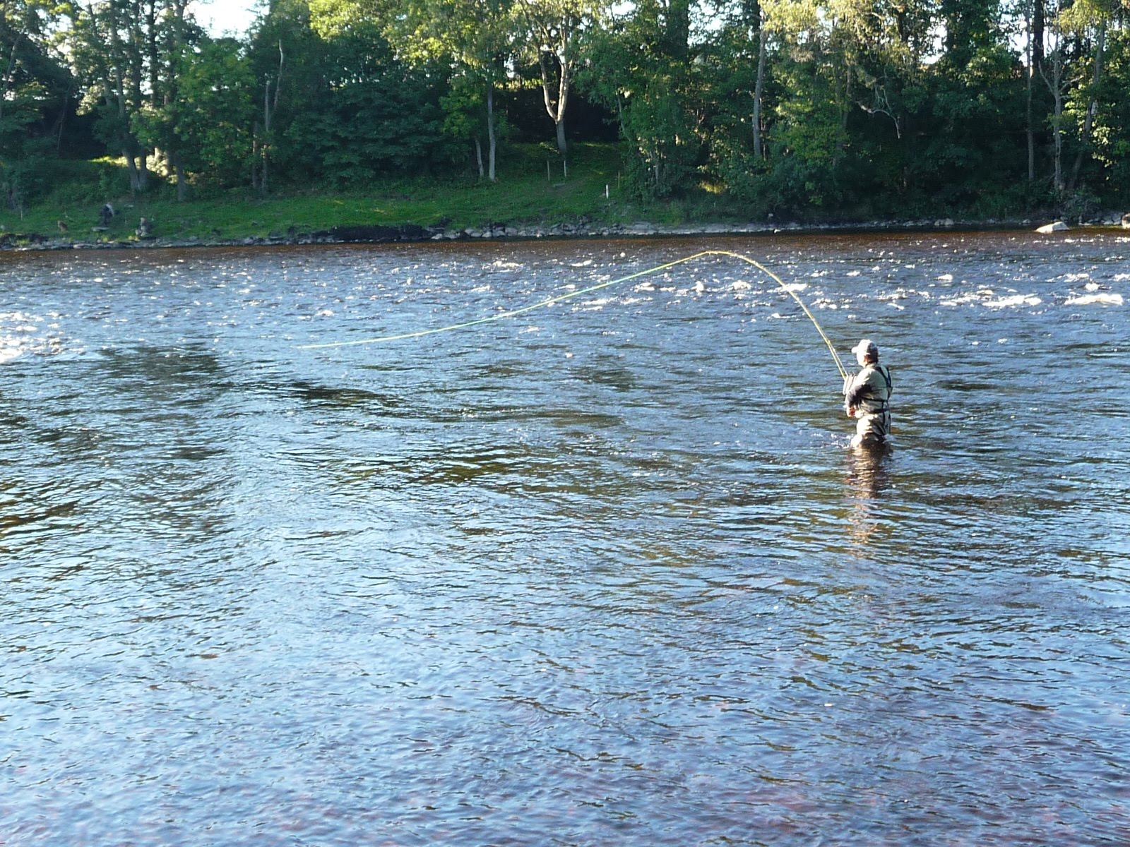 Salmon Fishing Scotland. Salmon Fishing Scotland Autumn Fly Fishing on the Tay.