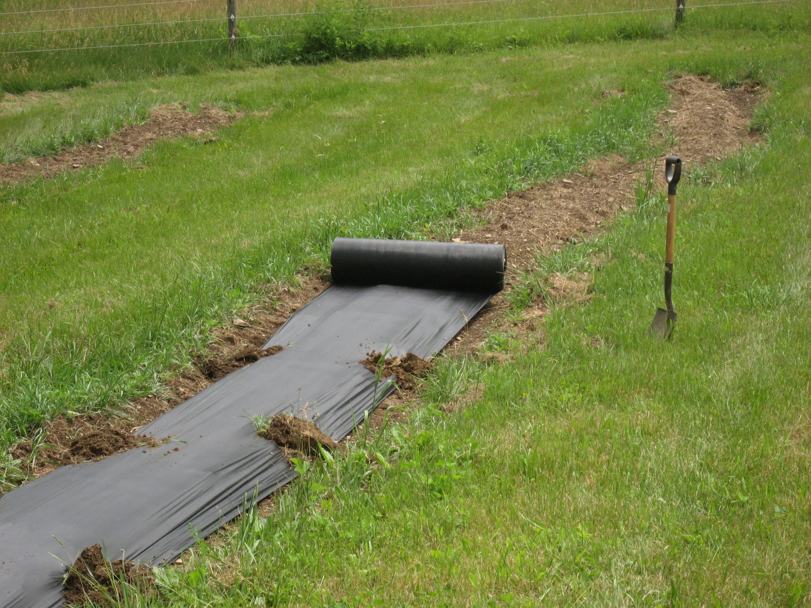 Serenity Valley Farm Black Plastic Mulch Application