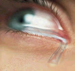 No es preciso llorar para describir una lágrima...