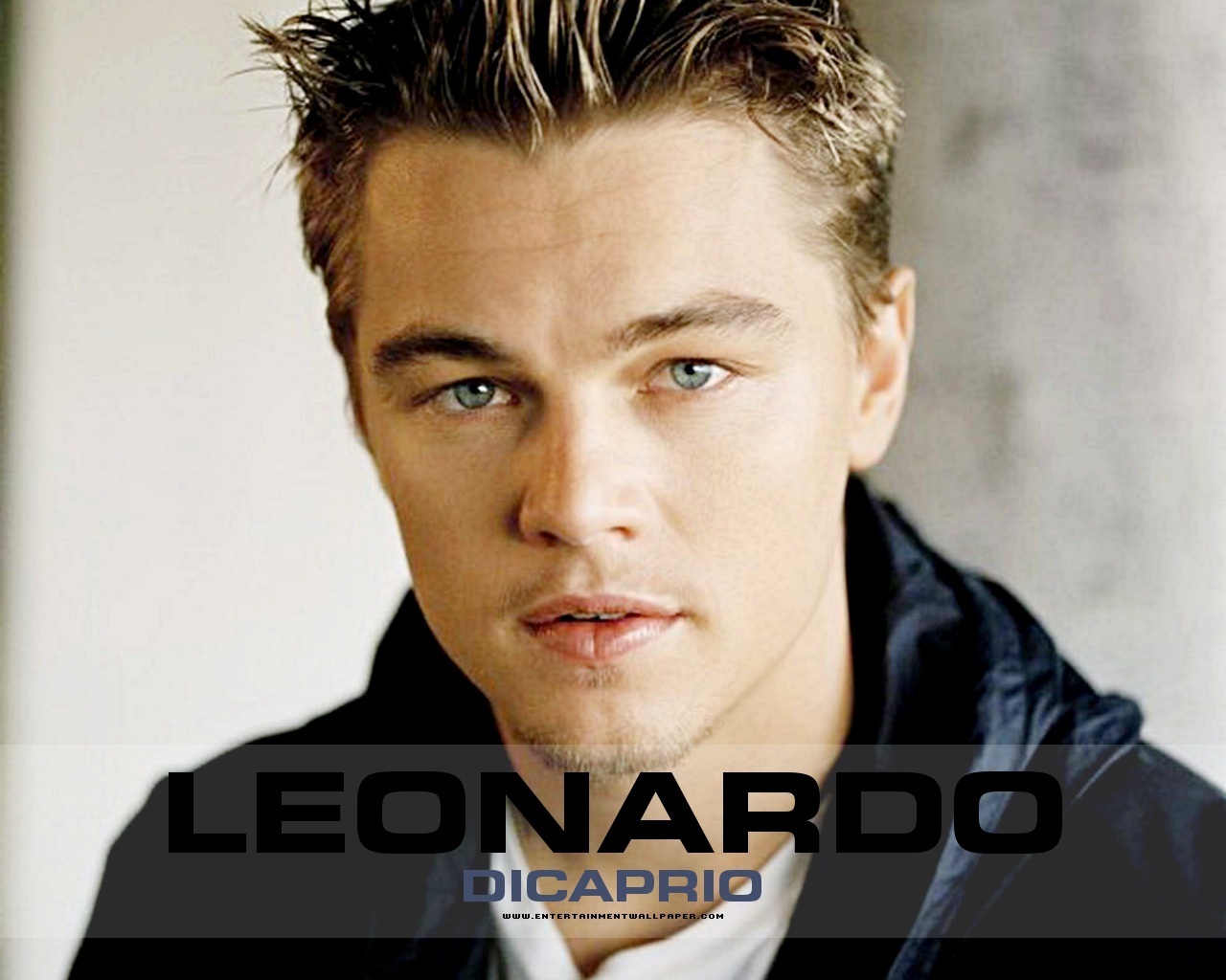 http://2.bp.blogspot.com/_MMag0JteG7w/TSL_0AIzegI/AAAAAAAAAME/Oe_312URVLo/s1600/Leonardo-DiCaprio-leonardo-dicaprio-16946706-1280-1024.jpg